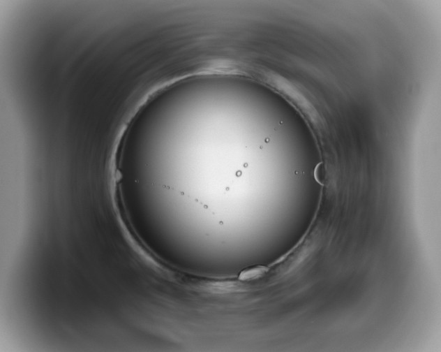 X0000099971479200805301324