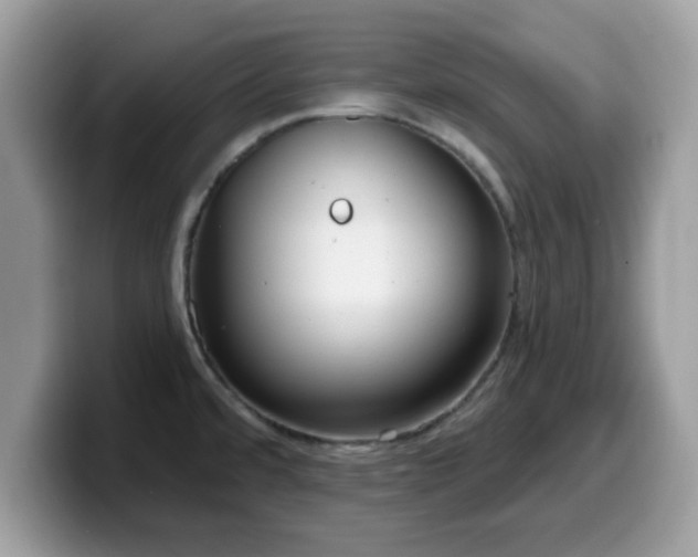 X0000099971480200805301324