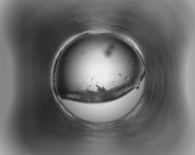 X0000099971485200805301324