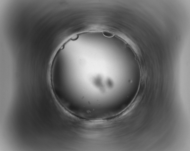 X0000099971486200805301324