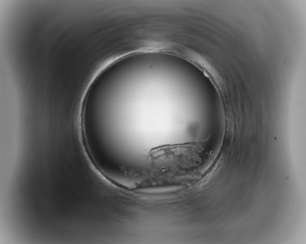 X0000099971487200805301324