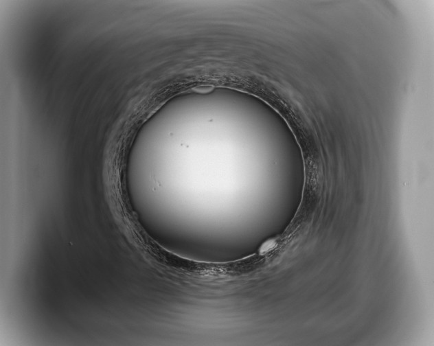 X0000099971489200805301323