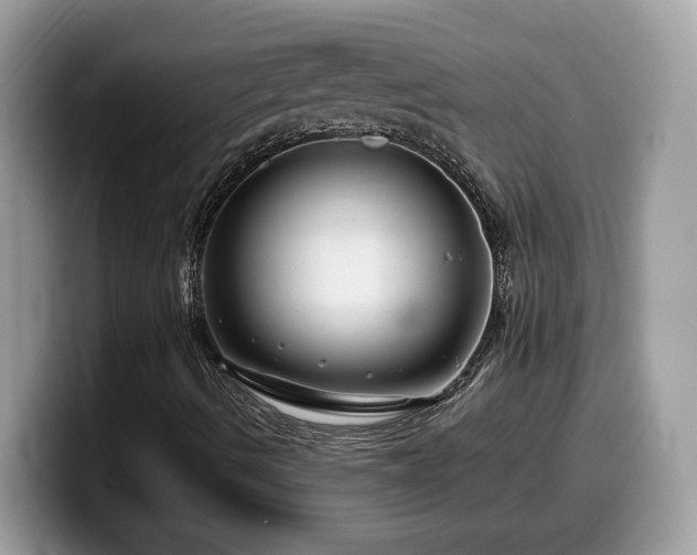 X0000099971490200805301323