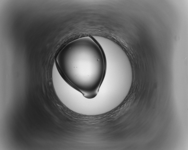 X0000099971492200805301323