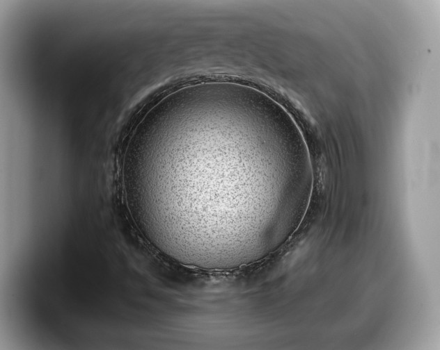 X0000099971494200805301323