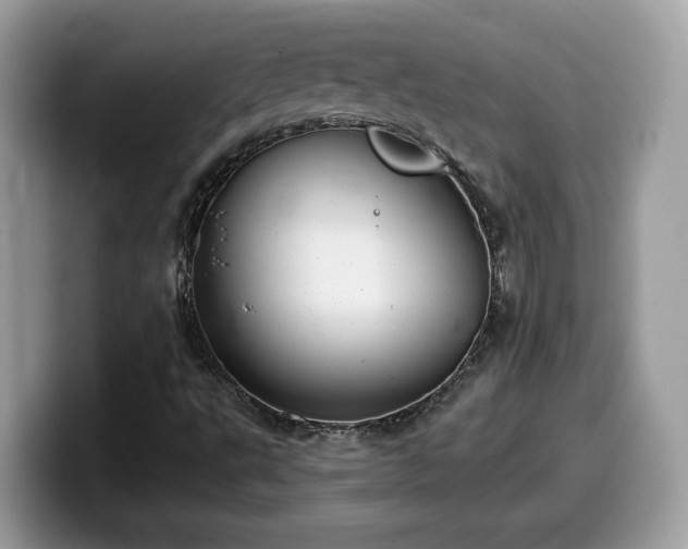 X0000099971495200805301323