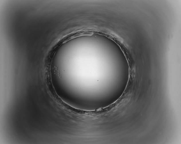 X0000099971496200805301323