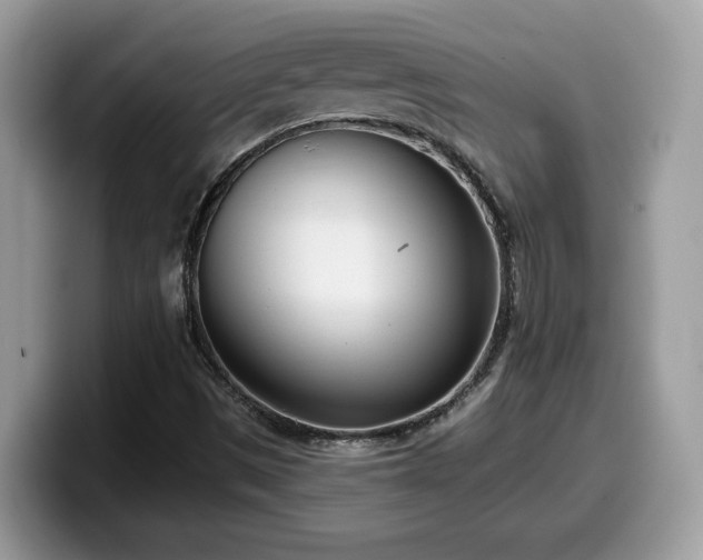 X0000099971497200805301323