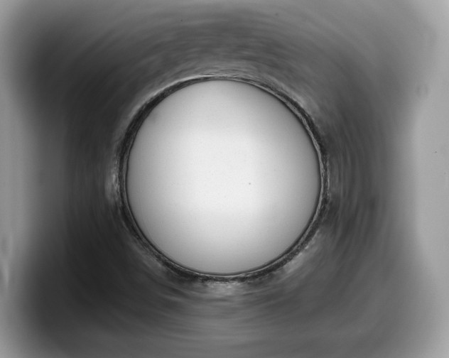 X0000099971498200805301323