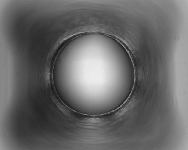 X0000099971499200805301323