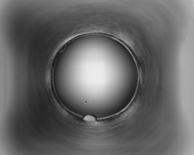 X0000099971500200805301323