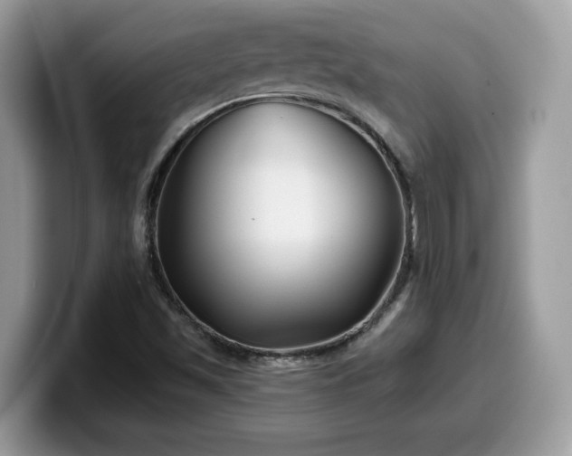 X0000099971501200805301323