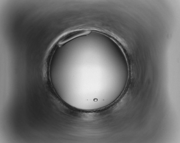 X0000099971502200805301323