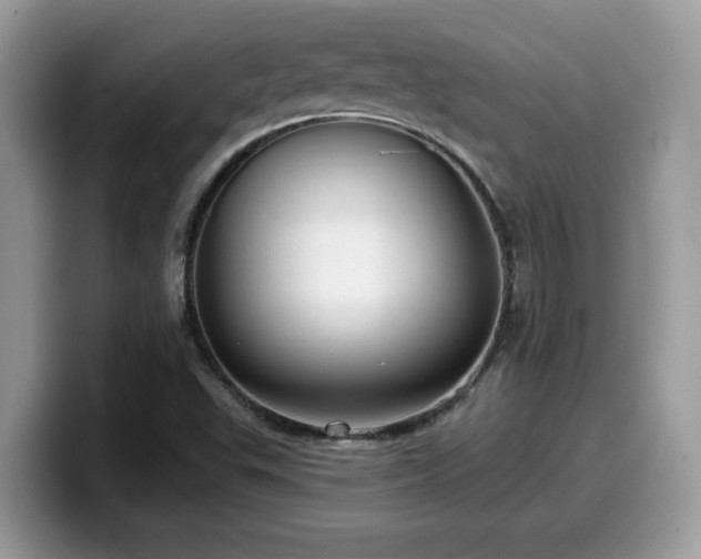 X0000099971503200805301323