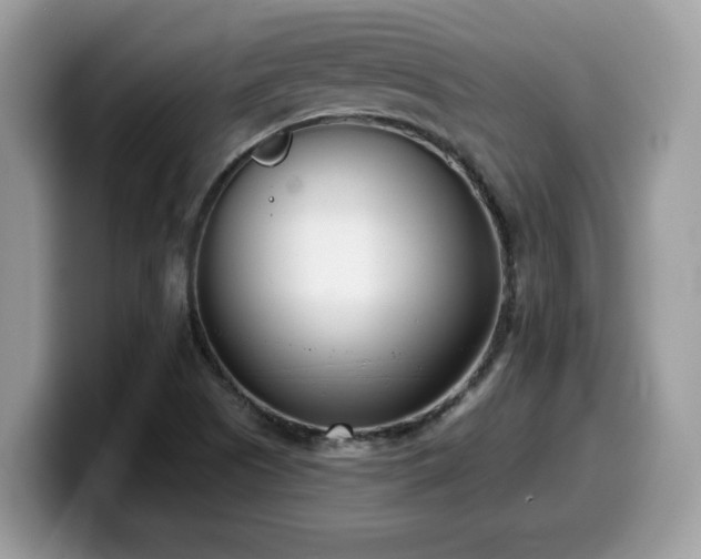 X0000099971505200805301323