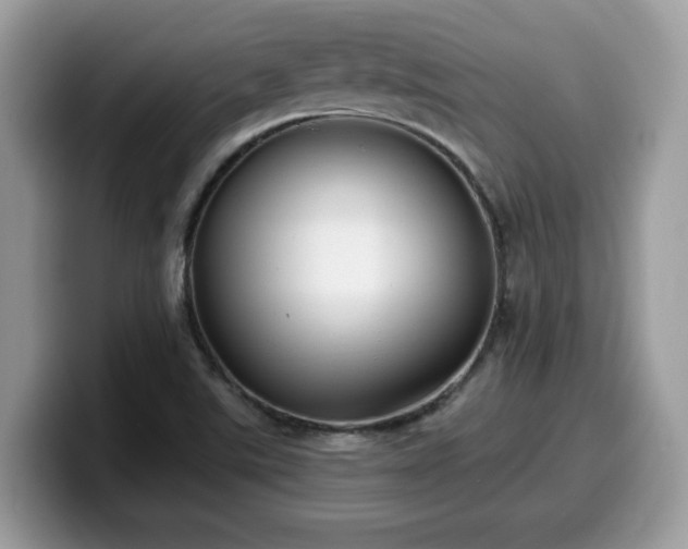 X0000099971507200805301323