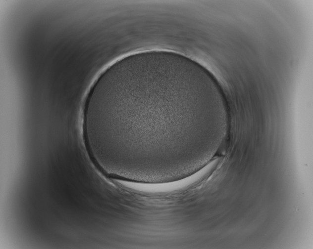 X0000099971508200805301323