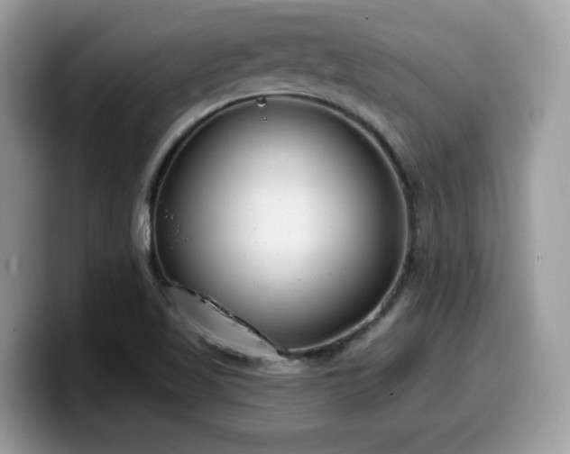 X0000099971509200805301323