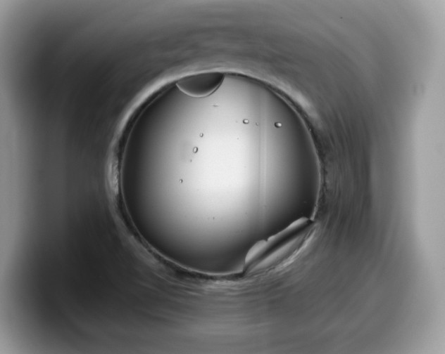 X0000099971510200805301323