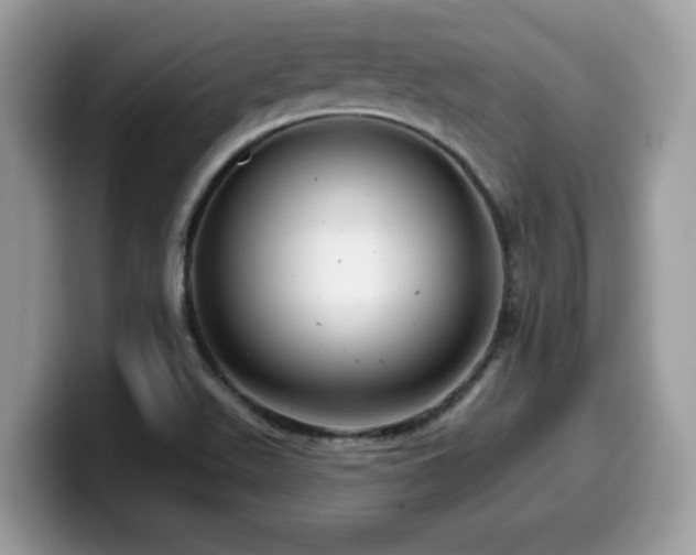 X0000099971511200805301323