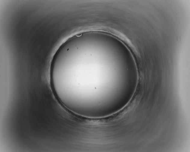 X0000099971512200805301323