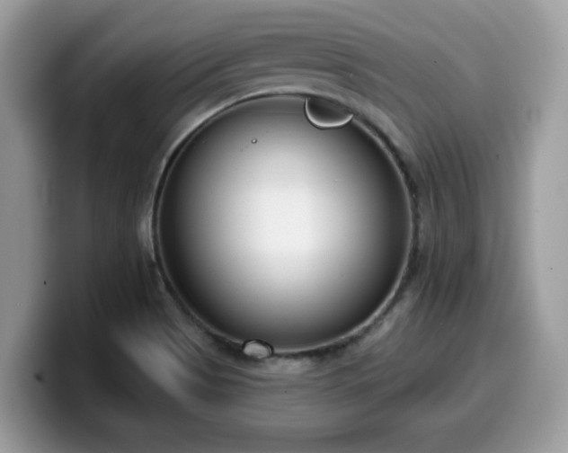 X0000099971513200805301323