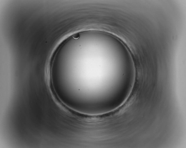 X0000099971515200805301323