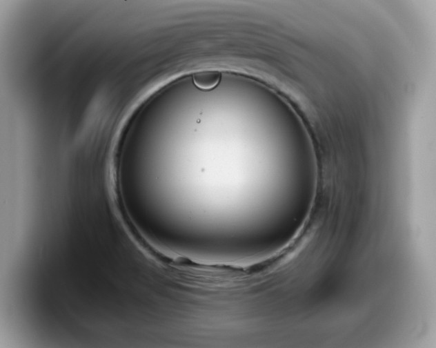 X0000099971517200805301323