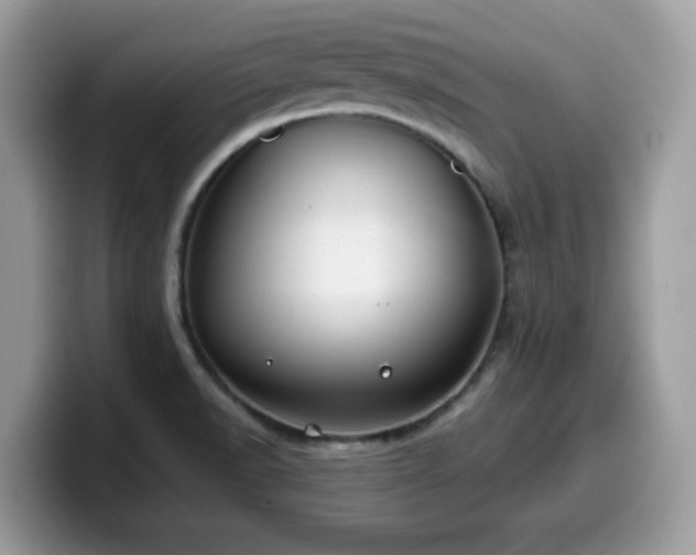 X0000099971518200805301323