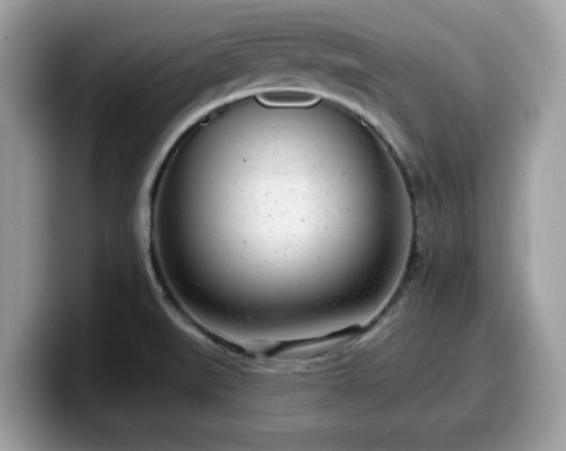 X0000099971519200805301323