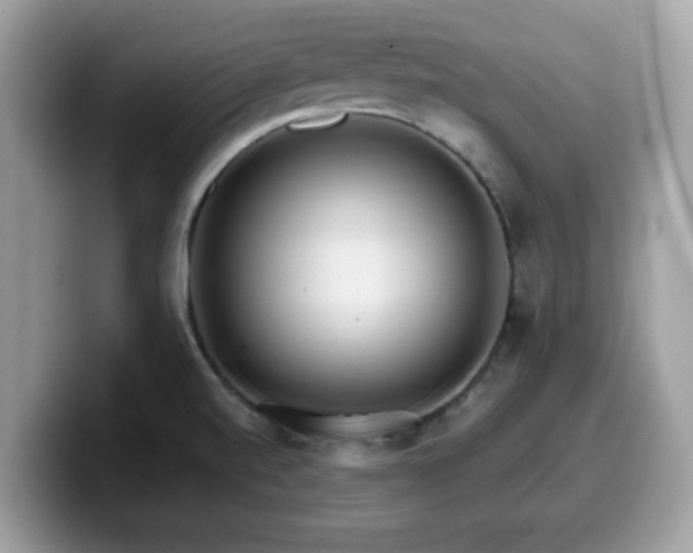 X0000099971520200805301323