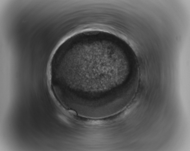 X0000099971522200805301323