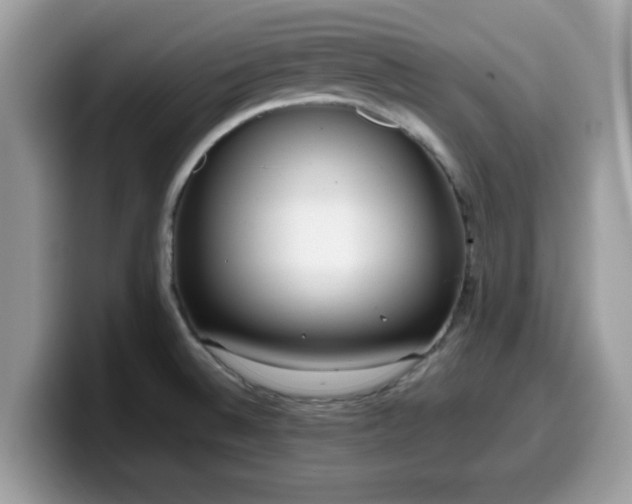 X0000099971524200805301323