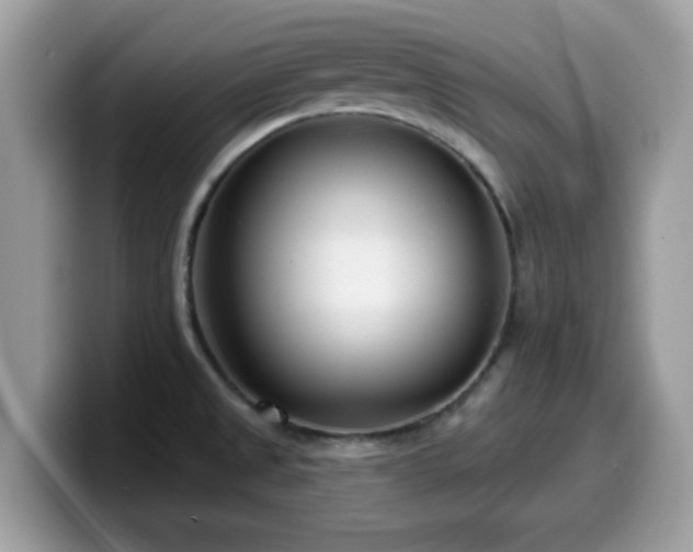 X0000099971525200805301323