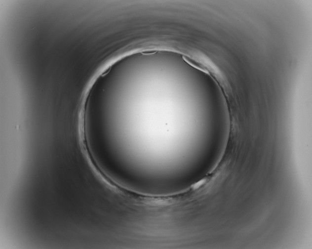 X0000099971528200805301324