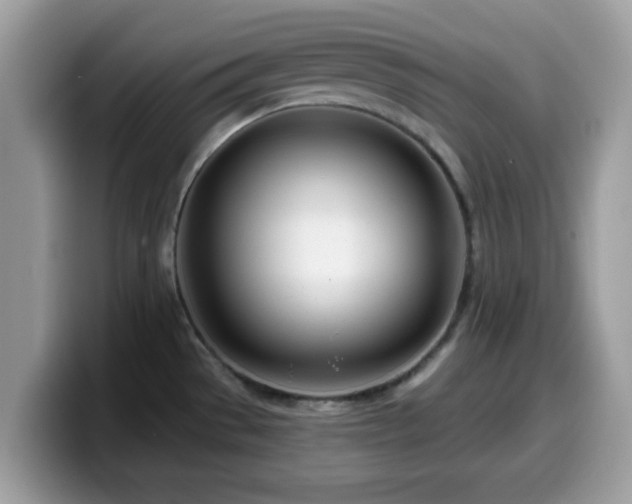 X0000099971529200805301324