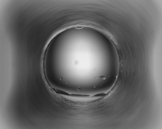 X0000099971530200805301324