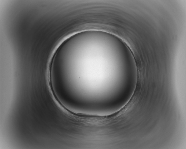 X0000099971531200805301324