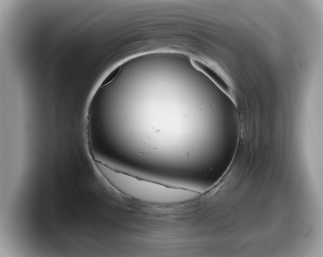 X0000099971532200805301324