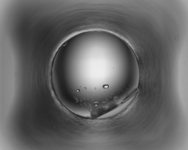 X0000099971534200805301324