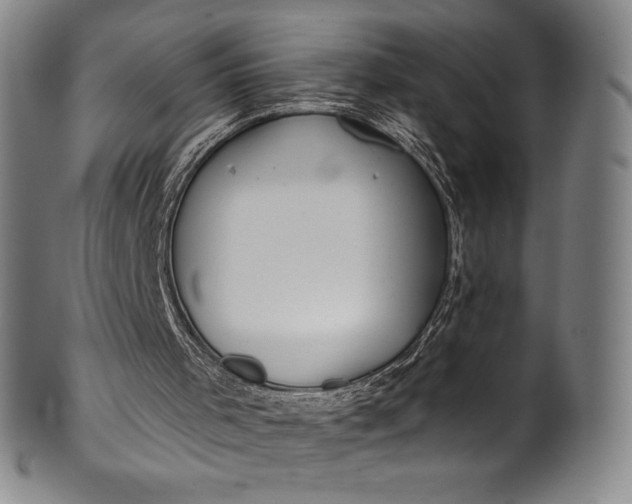 X0000099970001200806061641