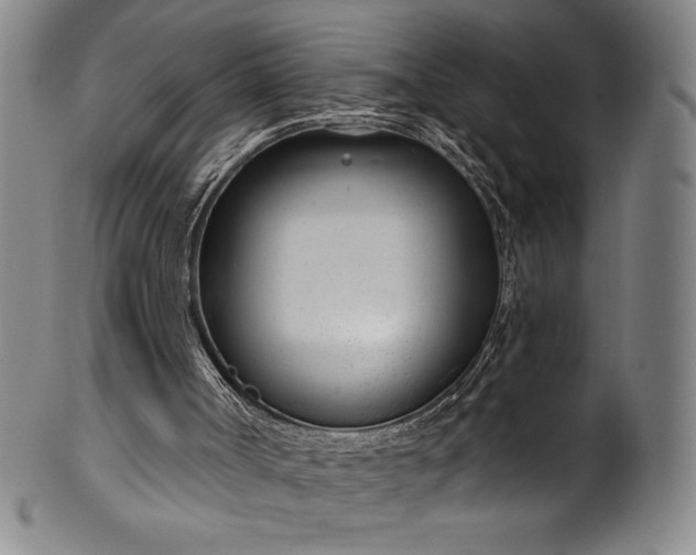 X0000099970002200806061641