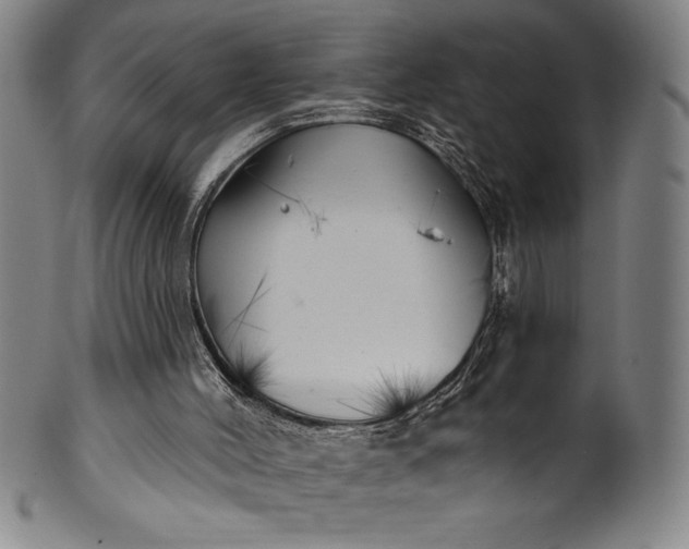 X0000099970004200806061641