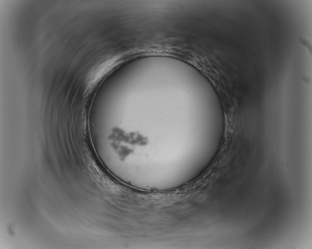 X0000099970005200806061641