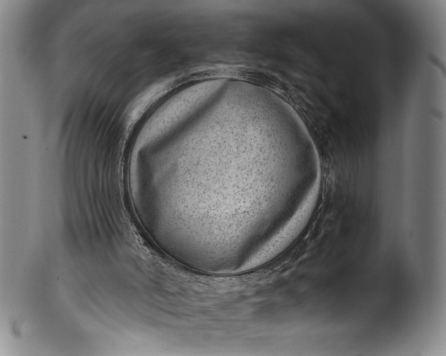 X0000099970006200806061640