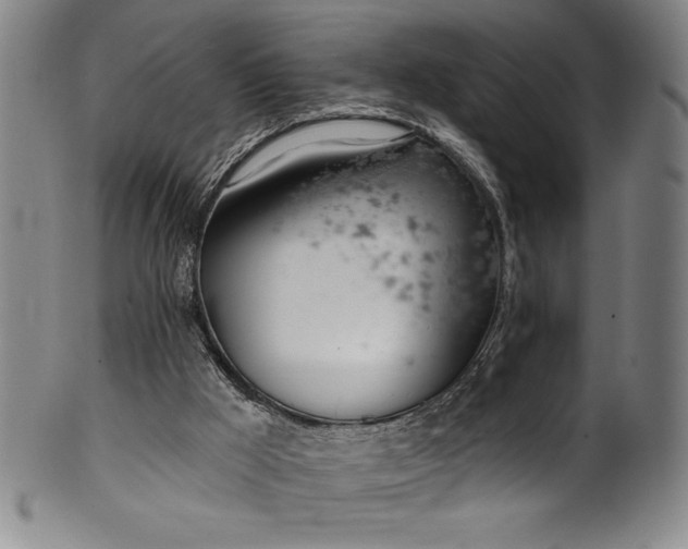 X0000099970009200806061640