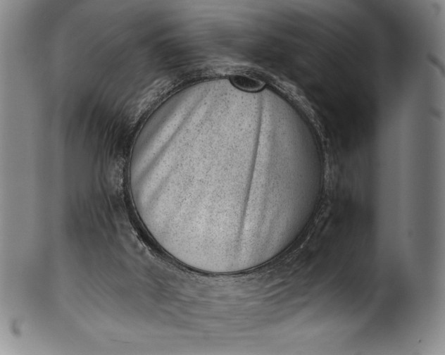 X0000099970010200806061640