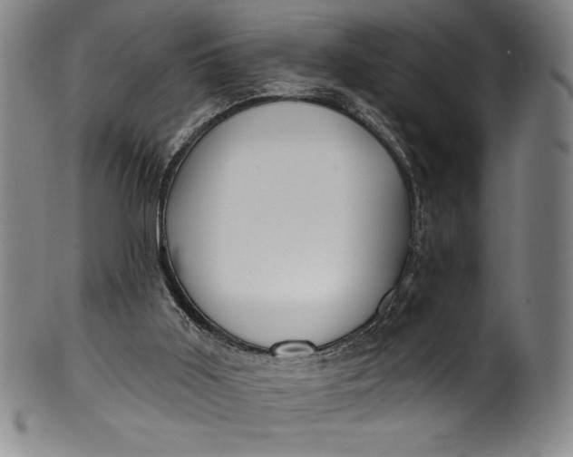 X0000099970011200806061640