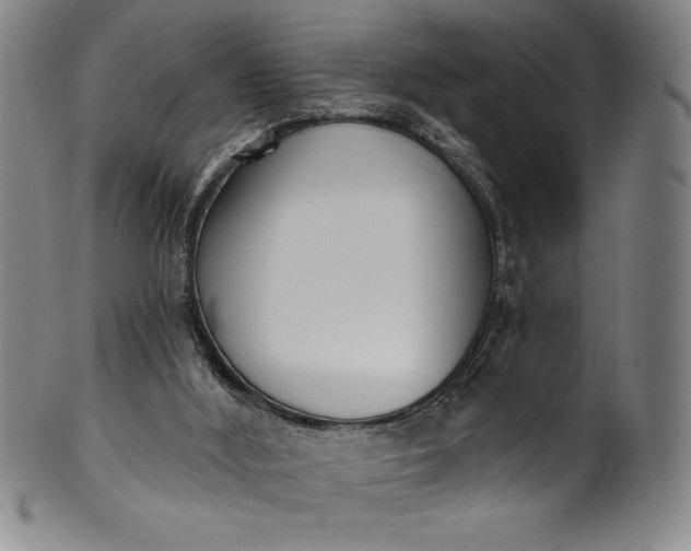 X0000099970012200806061640