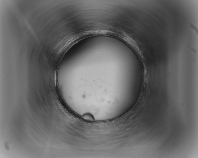 X0000099970013200806061640